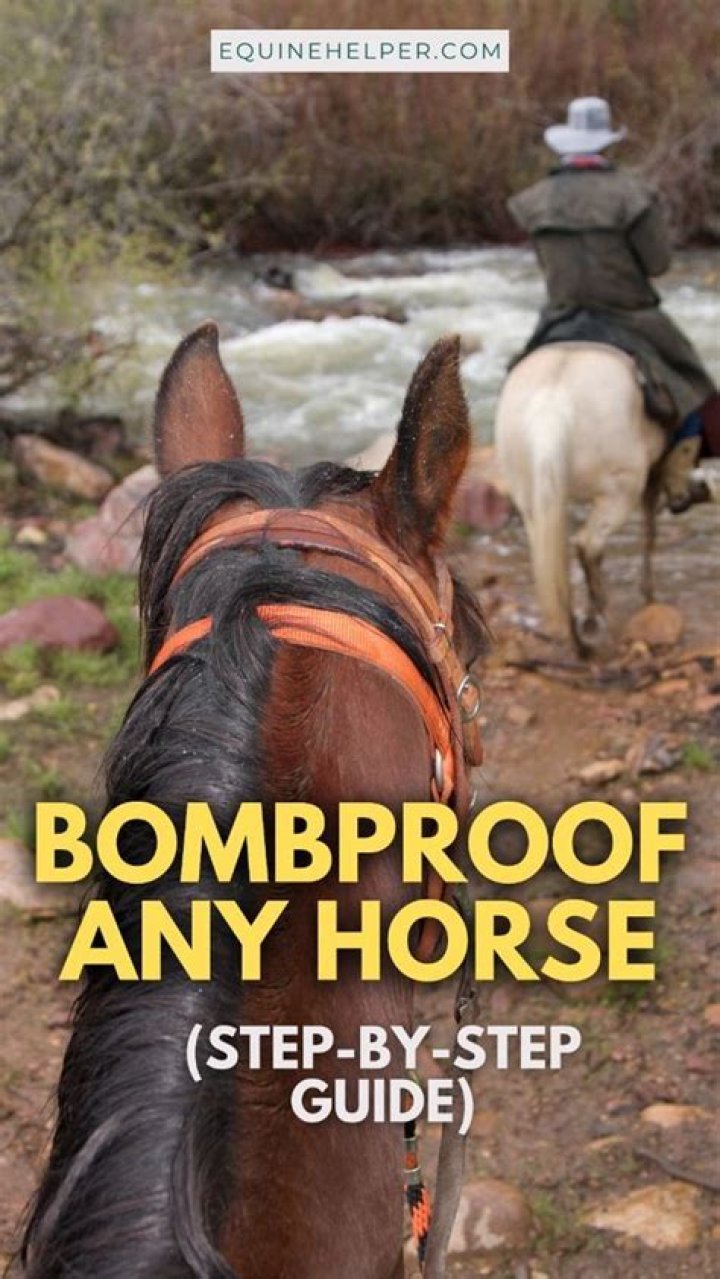 How to bombproof your horse?